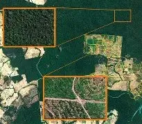 Parcelas forestales identificadas por satélite